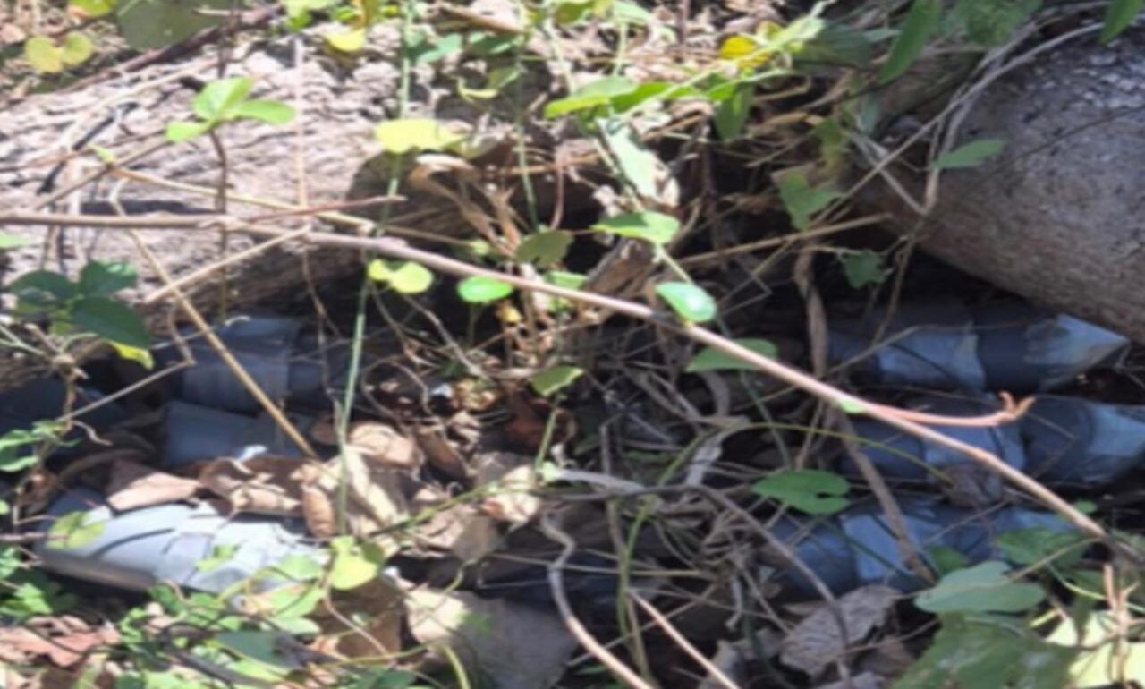 Localizan y destruyen seis artefactos explosivos en Concordia