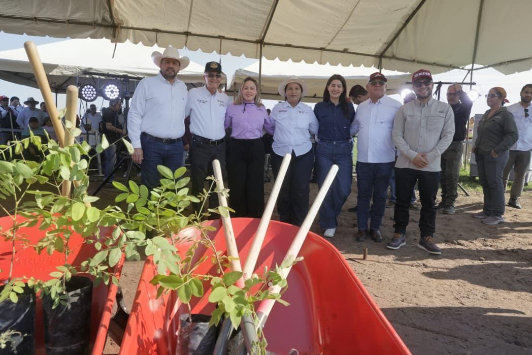 Gobernadora Yeraldine Bonilla pone en marcha en Sinaloa la Jornada Nacional de Reforestación, durante enlace nacional con la presidenta Claudia Sheinbaum