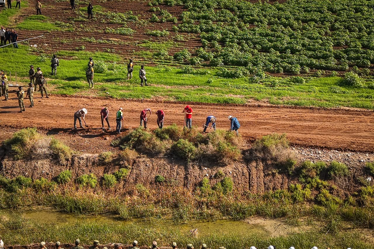 Ponen en marcha en Sinaloa la Jornada Nacional de Reforestación, durante enlace nacional con la presidenta Claudia Sheinbaum