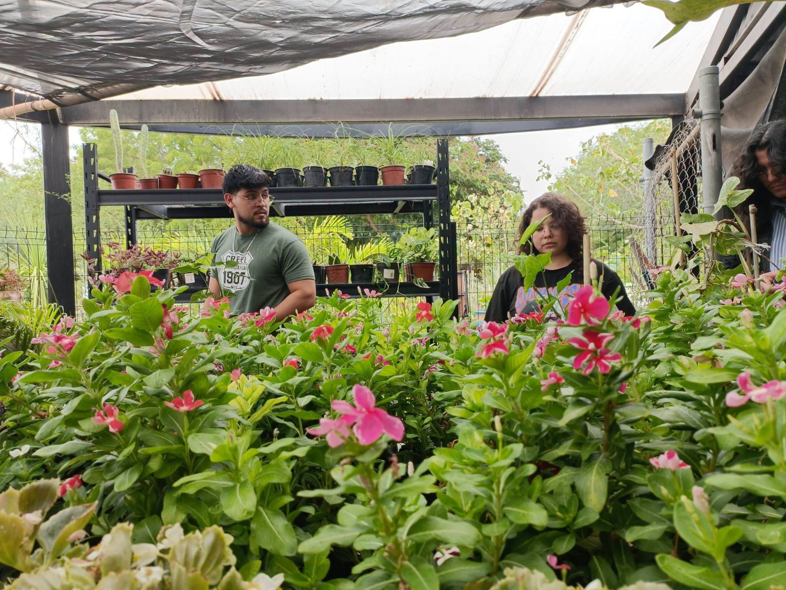 Parque Sinaloa te invita a su tradicional bazar de plantas.